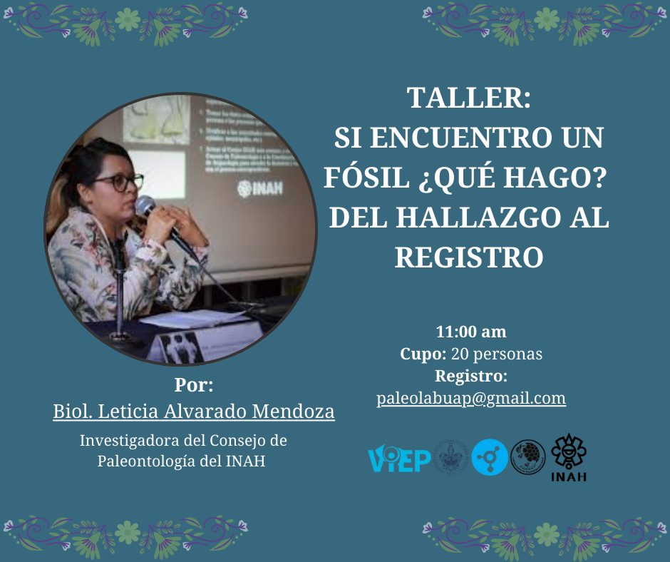viepbuap's tweet photo. 👏 3° Aniversario del @Paleobiologia_B, BUAP, te compartimos las actividades que se realizaran este jueves 7 de noviembre
🕓 10:00 am - 13:00 pm
📍 @EcocampusBUAP
📲 Para participar regístrate en el siguiente enlace: paleolabuap@gmail.com
#VIEPBUAP #VIEPenAcción https://t.co/1hBDzhjwof