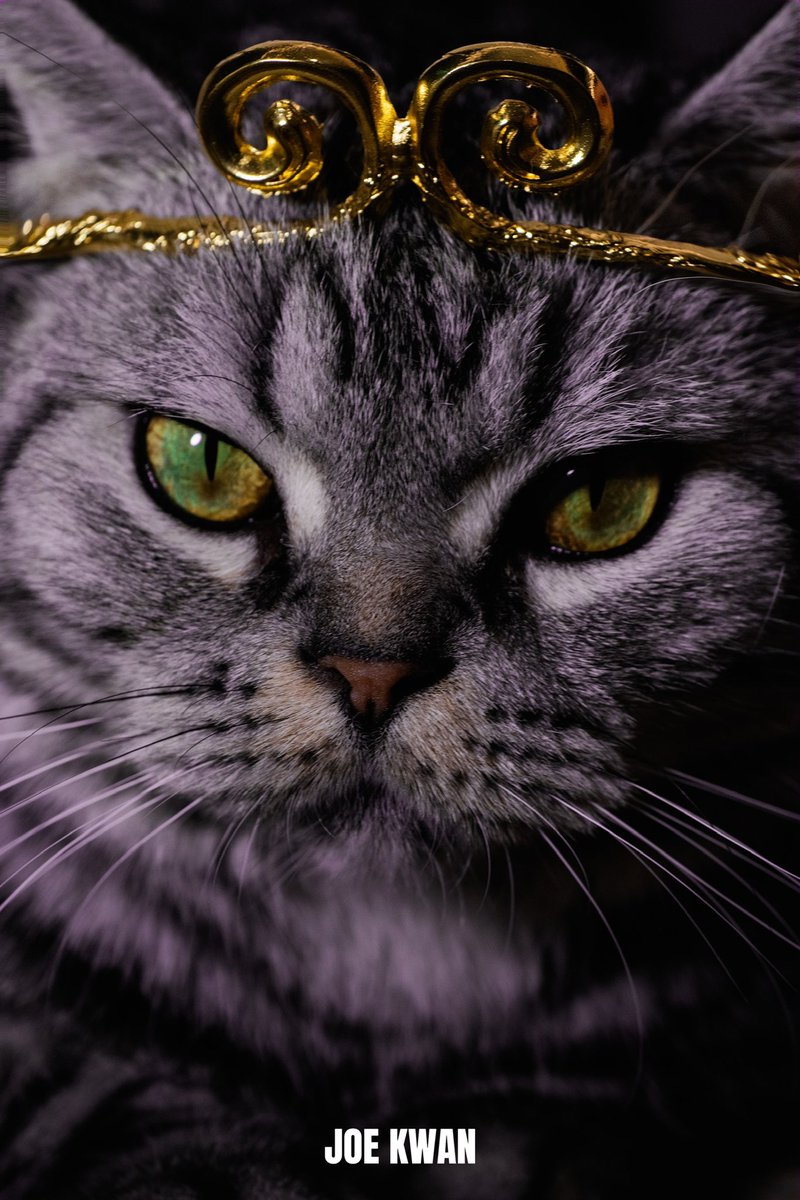 JOEKWAN (@wonderland330) on Twitter photo 