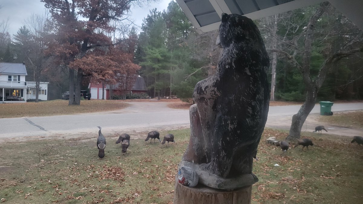 KeepYourLipsOn's tweet photo. Treats.

Holydaze #holyday #holiday #lights #drums #guitar #voice #vocal #electricguitar #turkeys https://t.co/c6X9RE5AqW