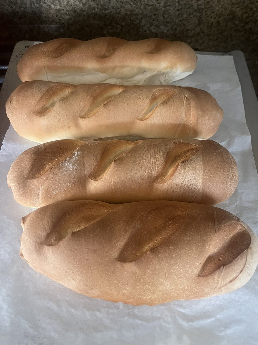 Frances Quinones tweet media