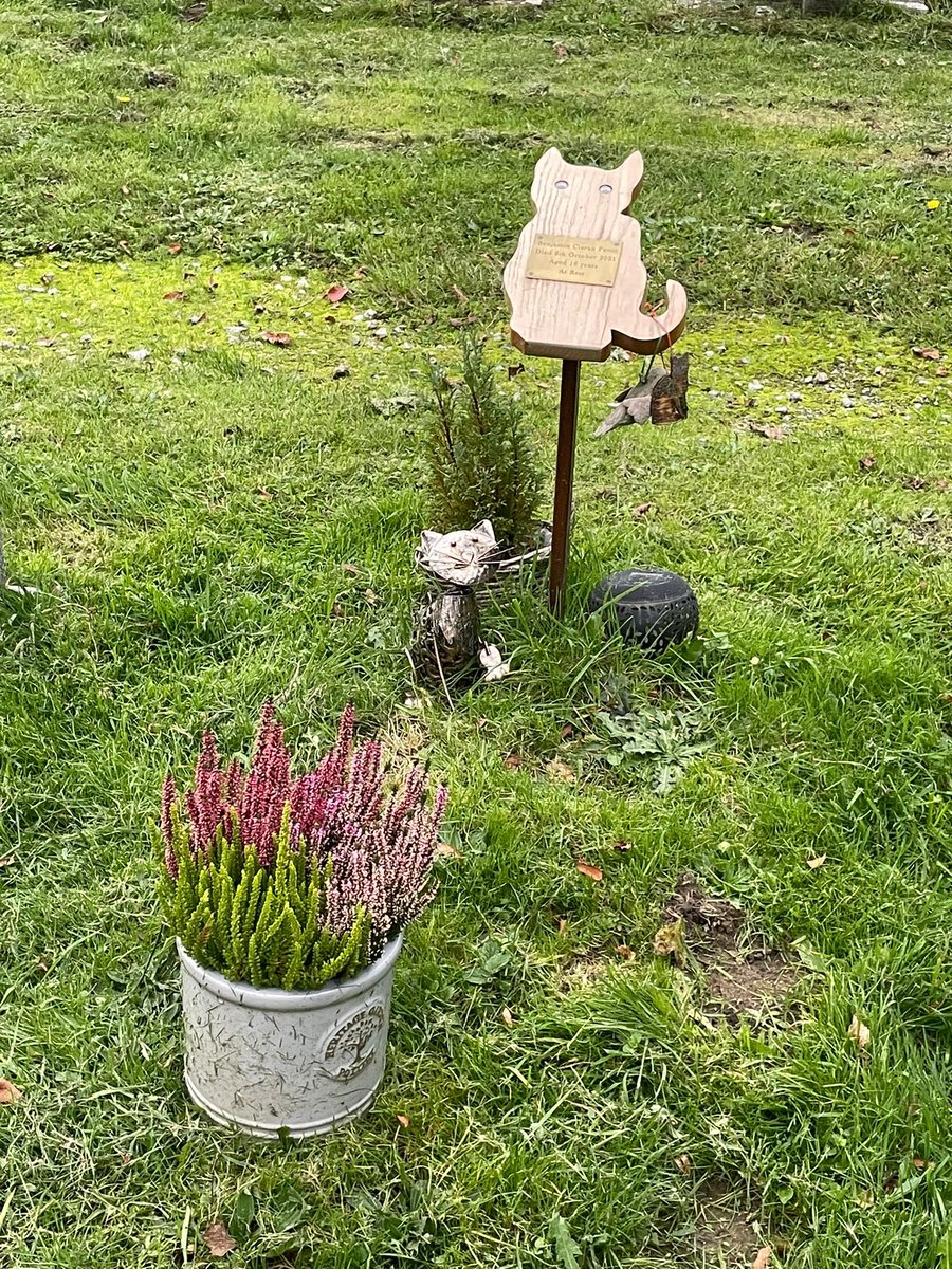 Ben Pavitt’s Legacy of Love Fund tweet media