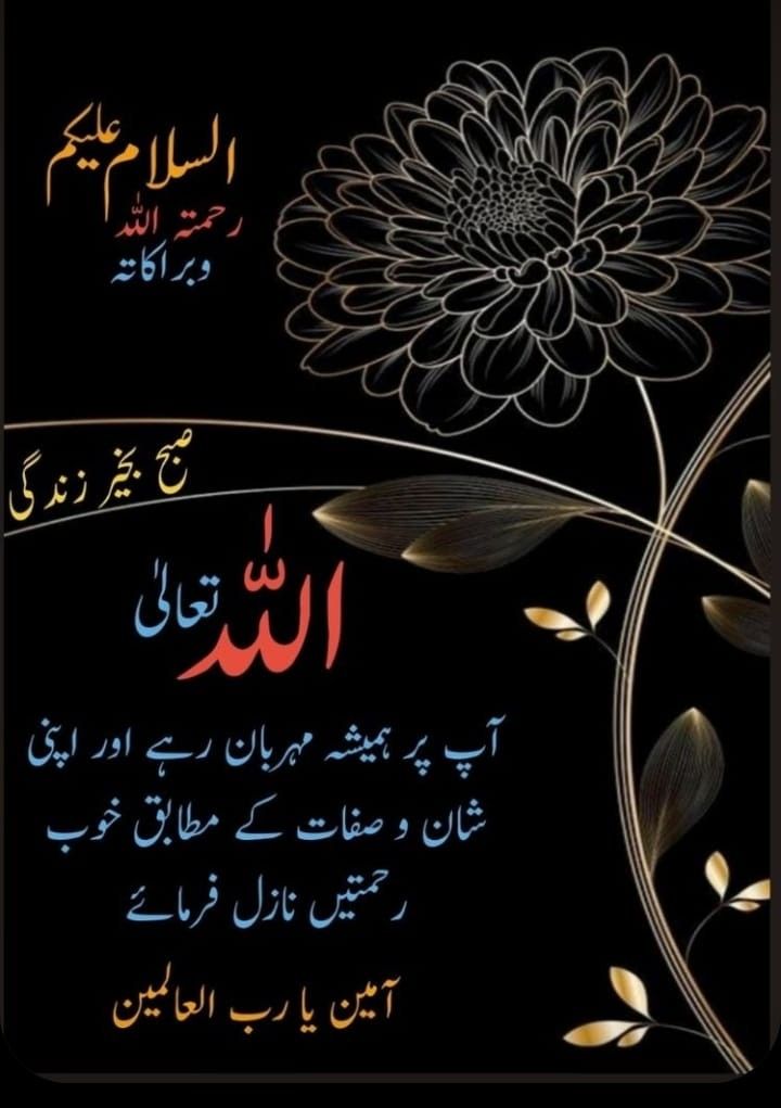 Muhammad Ejaz tweet media