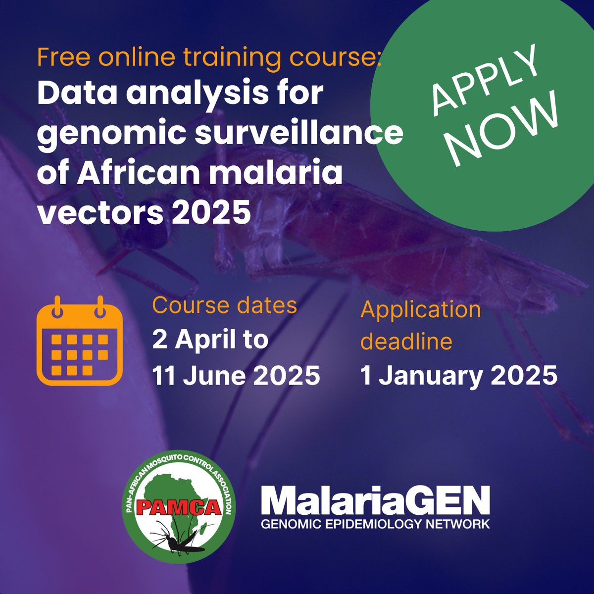 PAMCA, Africa (@pamcafrica) on Twitter photo Together with our partners at <a href="/malariagenomics/">MalariaGEN</a> , we are pleased to announce that the call for application for the online training course in data analysis for genomic surveillance of African malaria vectors is now open for application
Read more here: pamca.org/en/resources/n… Together with our partners at <a href="/malariagenomics/">MalariaGEN</a> , we are pleased to announce that the call for application for the online training course in data analysis for genomic surveillance of African malaria vectors is now open for application
Read more here: pamca.org/en/resources/n…