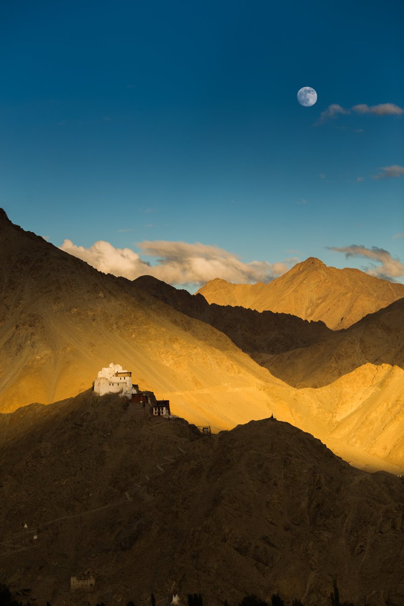 Deaf Artist NFT Collective tweet media