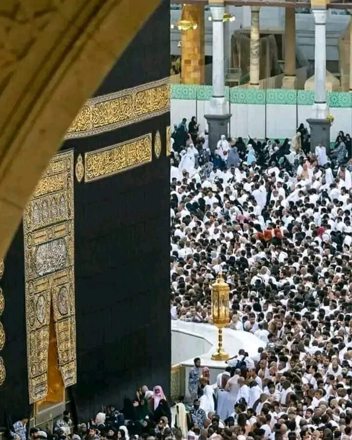 السلام وعلیکم ورحمتہ اللہ وبرکاتہ
 
°~🌸✨   • -° 𝙅𝙪𝙢𝙢𝙖  𝙈𝙪𝙗𝙖𝙧𝙖𝙠 -°
___جمعہ مبارک ✨💗🥀
" - *____فَاِنَّمَا يَقُولُ لَهُ كُن فَيَكُونُ!
اللہ تیری رضا میں ہی ہے سکون.✨🦋
"اے میـــــرے مـــــالک ہمــــارے ویـــــران دلــــوں
            کـــــو "قـــــرآن