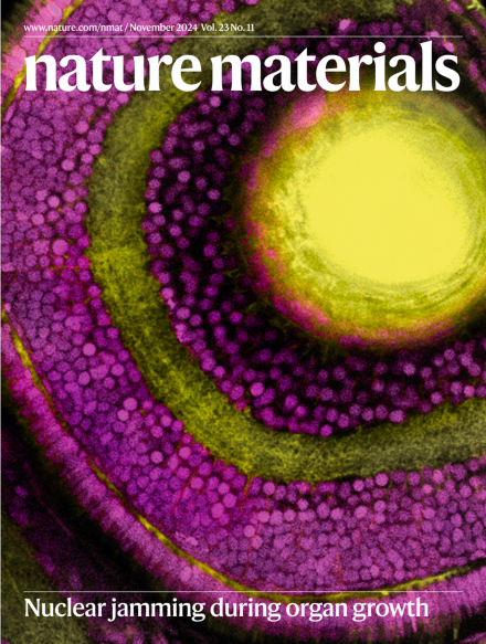 Campàs Lab (@campaslab) on Twitter photo Really excited that our recent work on nuclear jamming made it to the cover of <a href="/NatureMaterials/">Nature Materials</a>! 🤩 Congratulations to <a href="/RanaaAmini/">Rana Amini</a> for capturing this amazing image of the zebrafish retina! 👁️
➡️ nature.com/articles/s4156… Really excited that our recent work on nuclear jamming made it to the cover of <a href="/NatureMaterials/">Nature Materials</a>! 🤩 Congratulations to <a href="/RanaaAmini/">Rana Amini</a> for capturing this amazing image of the zebrafish retina! 👁️
➡️ nature.com/articles/s4156…