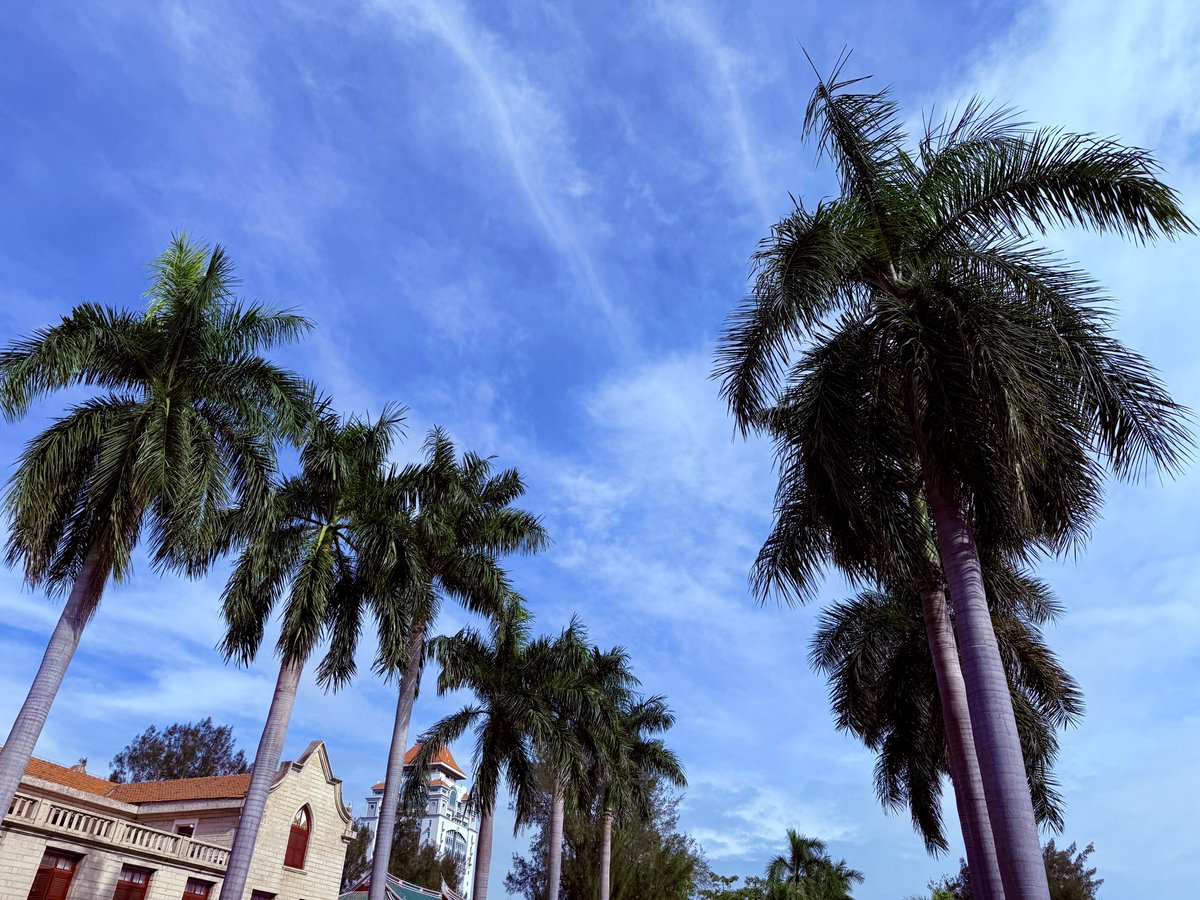 bctzsy's tweet photo. 🌴 https://t.co/v9TzNhsuB2