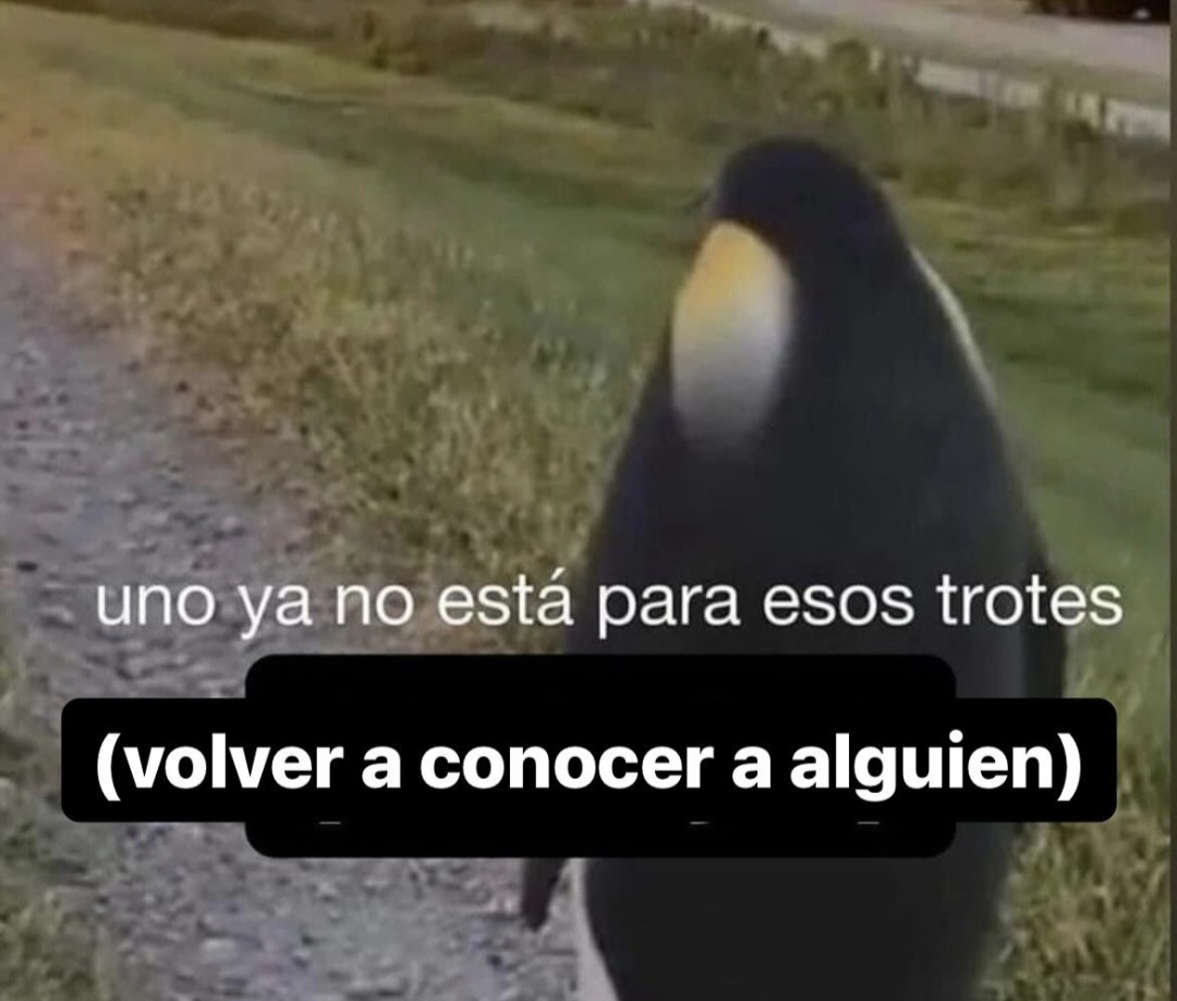 En Júpiter (@en_jupiter_) on Twitter photo 