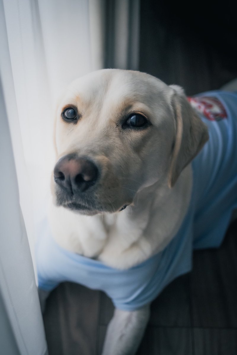 久しぶりのX投稿〜
むぎは元気です🐶