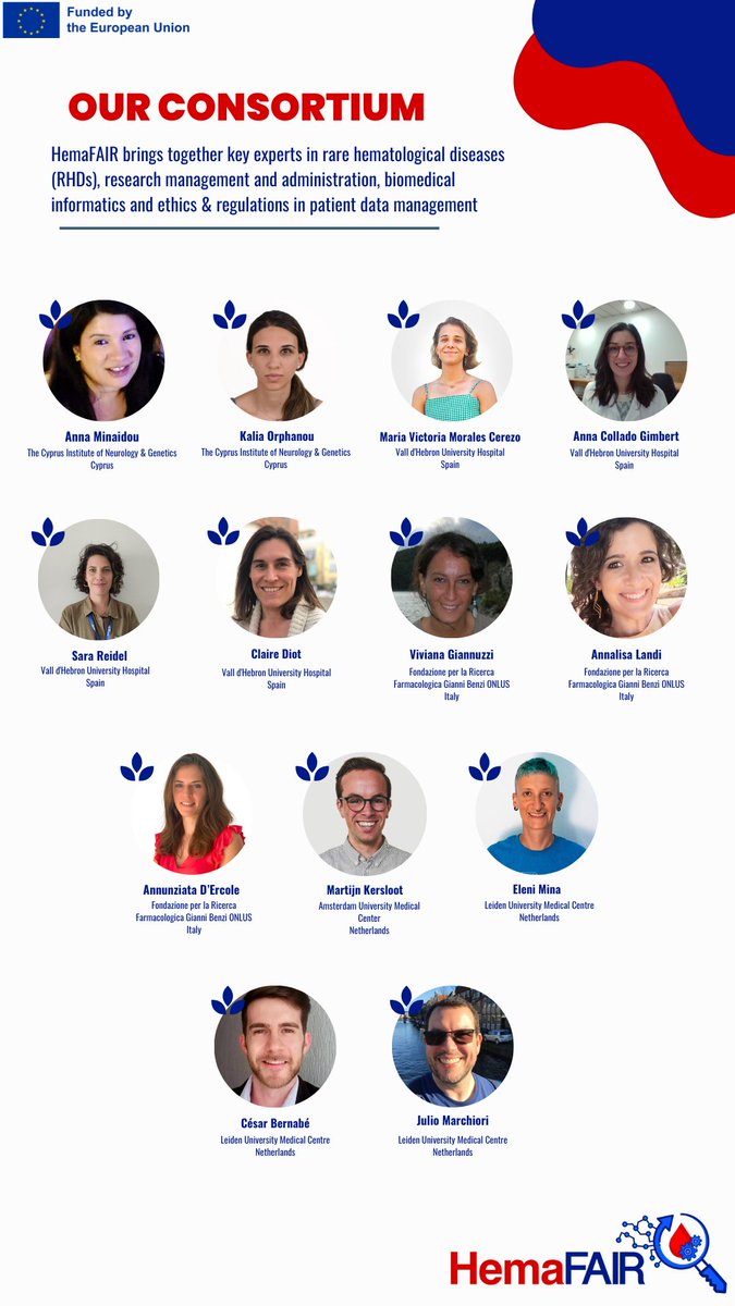 HemaFAIR (@hemafairproject) on Twitter photo 🌟Meet the HemaFAIR Consortium!🌟
The HemaFAIR team comprises leading researchers from institutions across Cyprus, Spain, Italy, and the Netherlands. Together, we aim to enhance the standards and accessibility of data-driven, patient-centered research in RHDs.
<a href="/NeuroGeneticsCy/">NeurologyGeneticsCyp</a> 🌟Meet the HemaFAIR Consortium!🌟
The HemaFAIR team comprises leading researchers from institutions across Cyprus, Spain, Italy, and the Netherlands. Together, we aim to enhance the standards and accessibility of data-driven, patient-centered research in RHDs.
<a href="/NeuroGeneticsCy/">NeurologyGeneticsCyp</a>