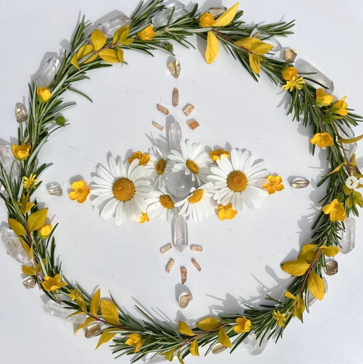 Spreading a little sunshine 🌞