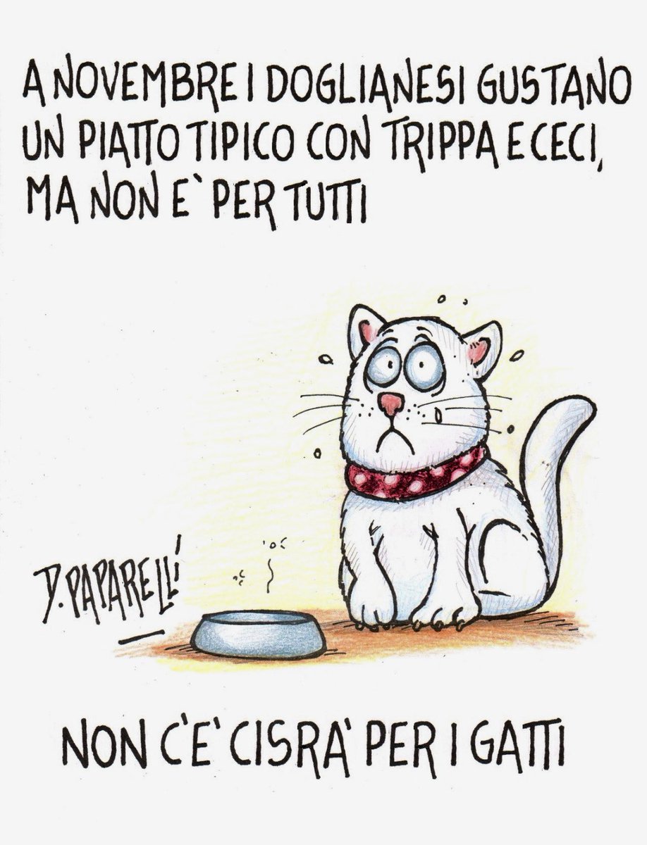 danilopaparelli's tweet photo. Tutto è #pronto a #Dogliani (CN) per #degustare il #piatto #tipico della #tradizione in questo periodo: la #Cisrà. Una #zuppa di #trippe e #ceci che #simboleggia la fine delle #fiere prima del #riposo #invernale dei #contadini https://t.co/lFjBYvxw2H