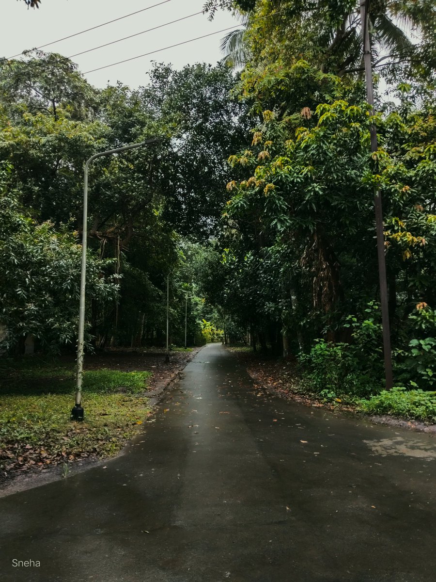 my fav genre of roads 🫶