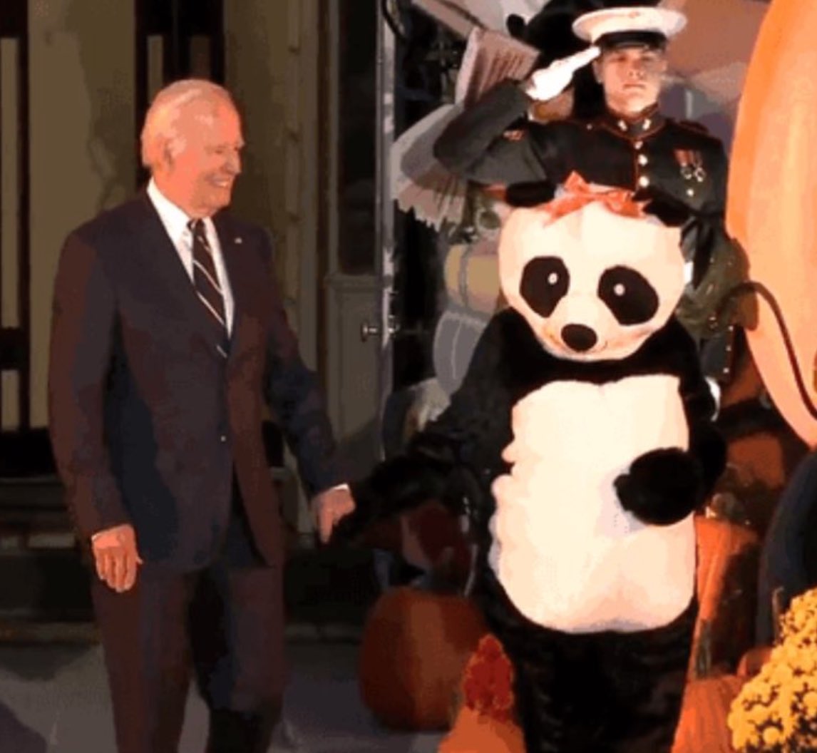 ThrillaRilla369's tweet image. 🇺🇸 Jill Biden dressing up as a Panda for Halloween is peak demonic symbolism. 

These people are sick - I’ll let the comments explain why.
