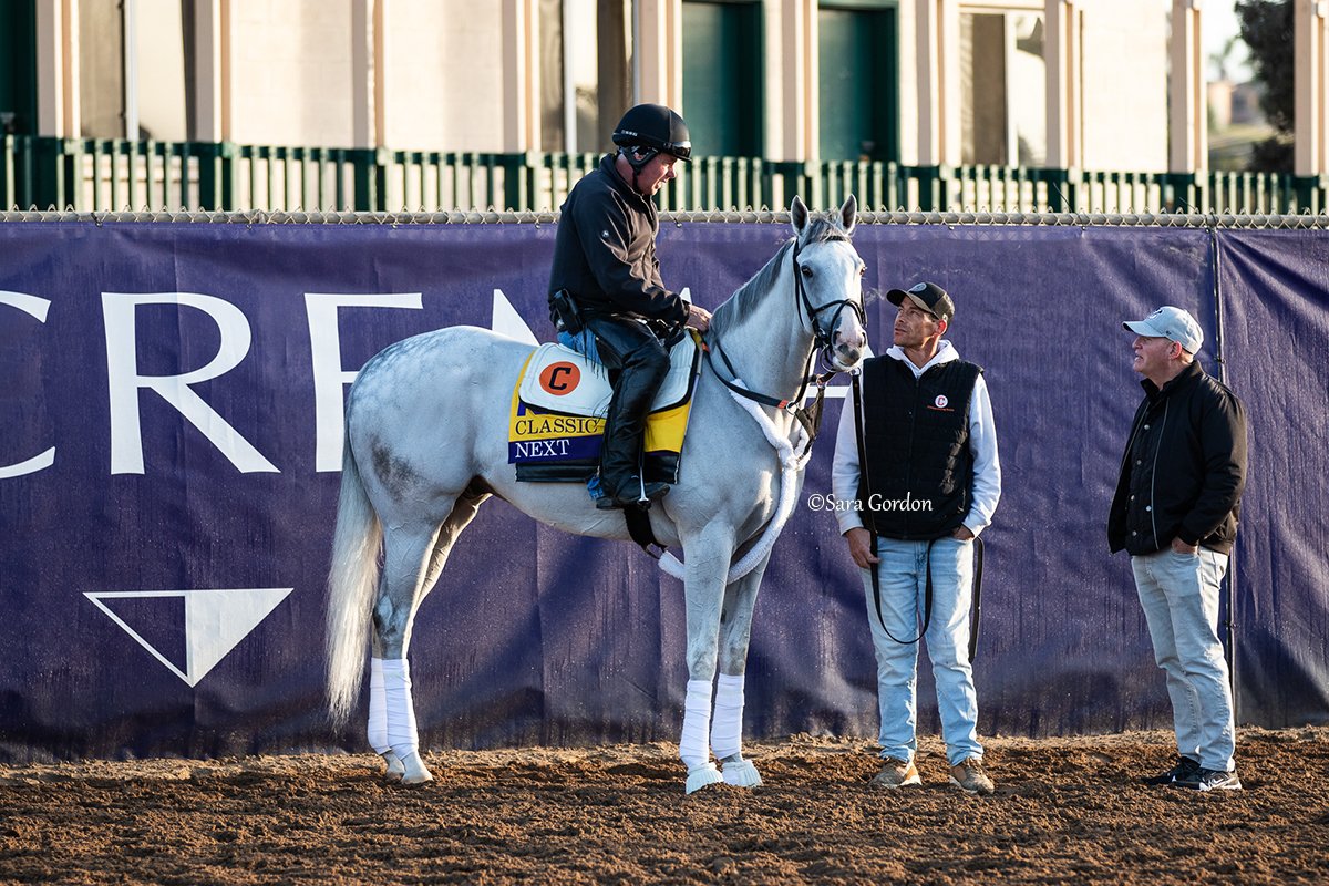 SaraChristineG's tweet photo. GI @BreedersCup Classic contender NEXT, pictured with trainer @doug_cowans and the rest of his team, Thursday morning at @DelMarRacing.

He has certainly added a whole new level of excitement to an already intriguing Classic! 👀 https://t.co/JkgBFFJwHz