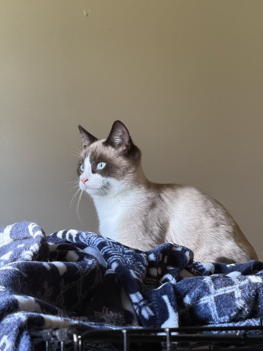 Katrina Starks tweet media