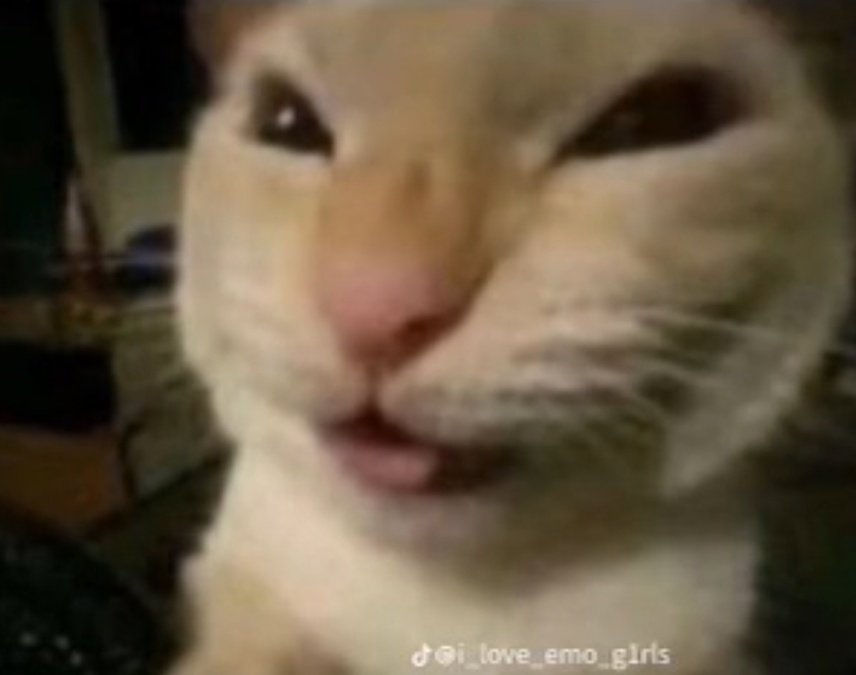 𝙻𝙺 - 𝟺𝙳𝟺 tweet media