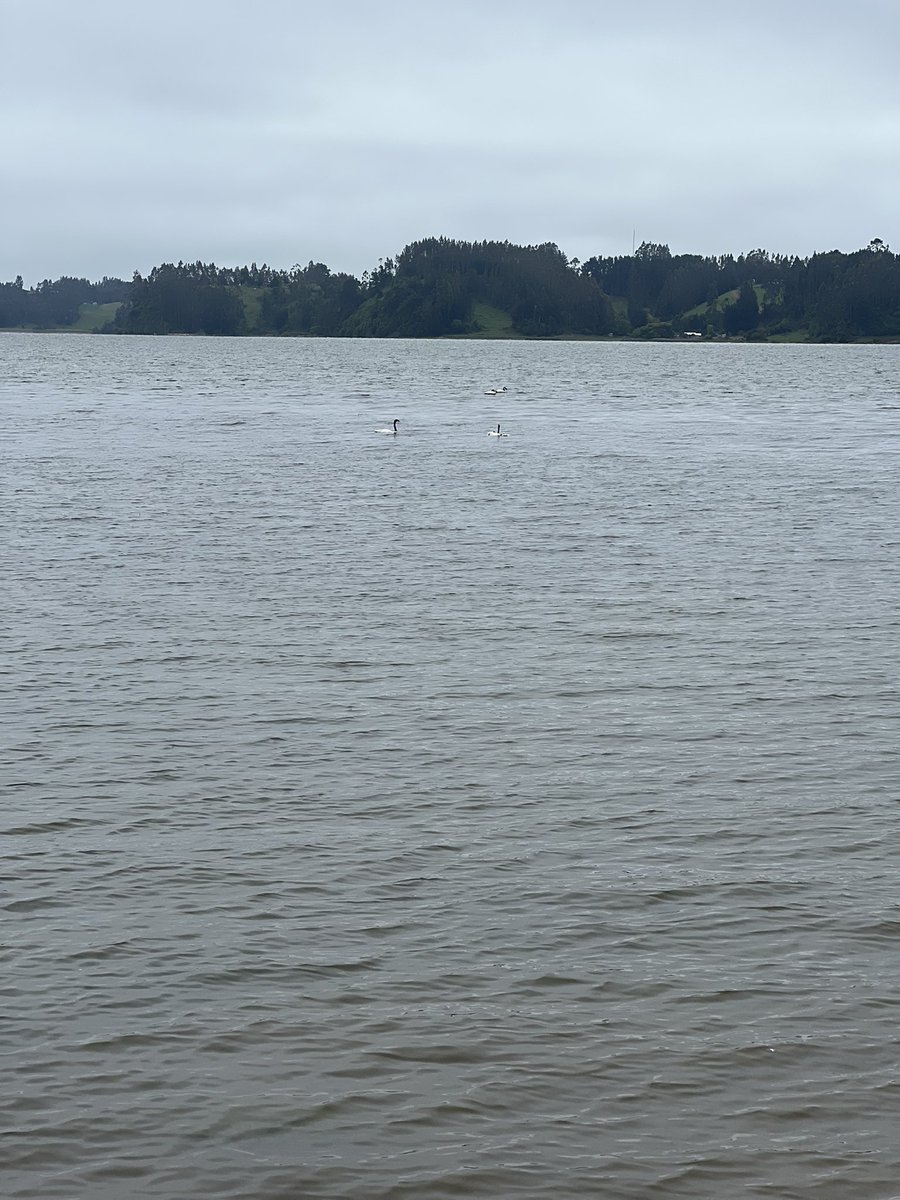 mari3♡ tweet media