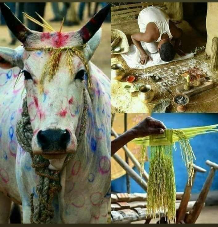 सोहराय_परब की आप सभी आदिवासी को हार्दिक शुभकामनाएं। जब अपने पुरखों केरीति-रिवाज, परंपरा और संस्कृति को भूल जाओगे तो आपके पास आदि किसान होने का प्रमाण ही खत्म हो जाएगा।
 *इसलिए हमें अपने पुरखों की संस्कृति, रीति-रिवाज व परंपरा को जीवित रखना सर्वप्रथम हमारा कर्तव्य बनता है।