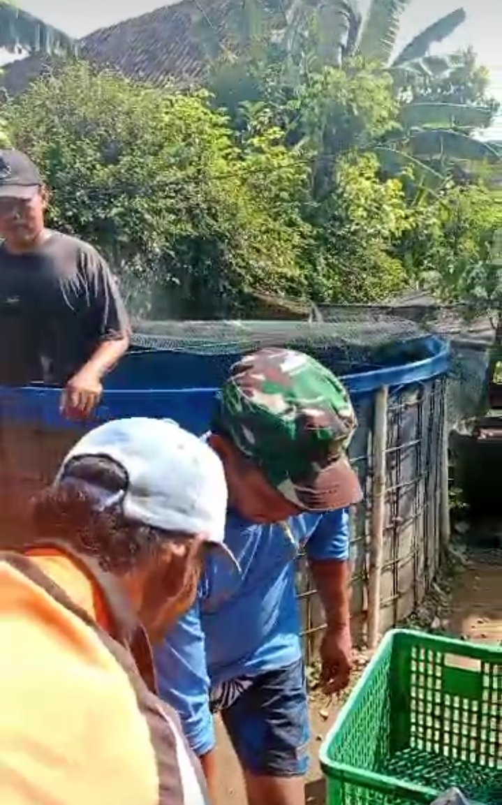 LutfiyahSp's tweet photo. Selasa, 20/10/2024, Lutfiyah luhkan sragen, melaporkan hasil panen lele konsumsi pak Joko Suseno ds. Plumbon kec. Sambungmacan sebanyak 308kg harga 18rb, pembeli Mas Tri Cahyono Sragen.
#giatluhkansatminkaltegal
#sragen
#luhlapor https://t.co/NwSc2MgKPB