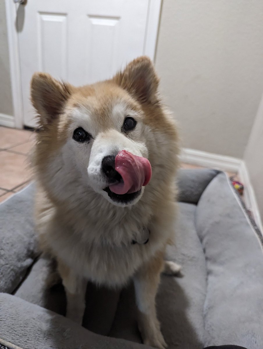 Paul Rudd (@son_gogu) on Twitter photo 