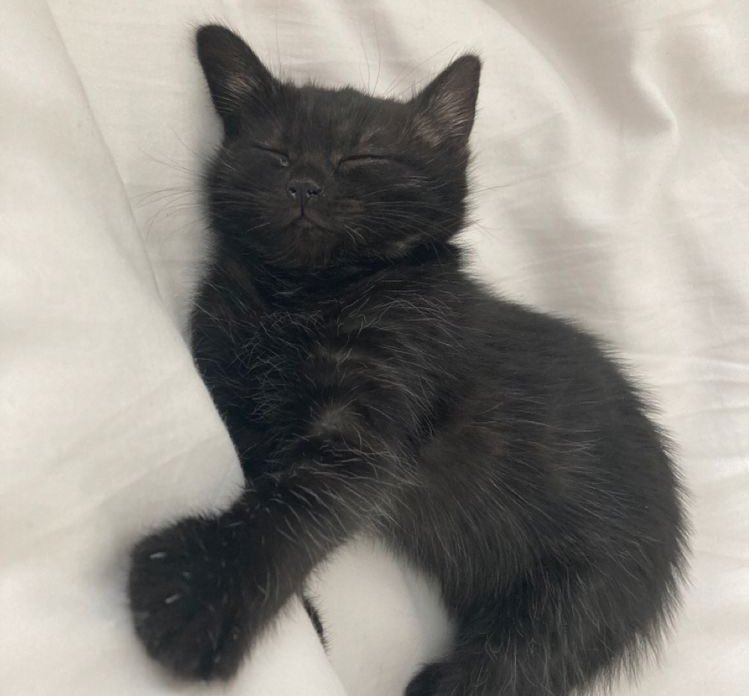 httpcwoof's tweet image. เค้ง ๆ with หนูหอม