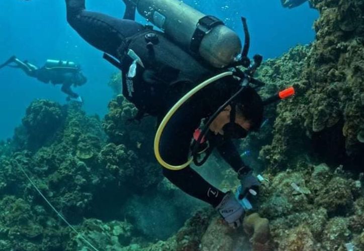 Consigue Parque Marino de Puerto Morelos recursos para equipamiento dlvr.it/TFxTyf