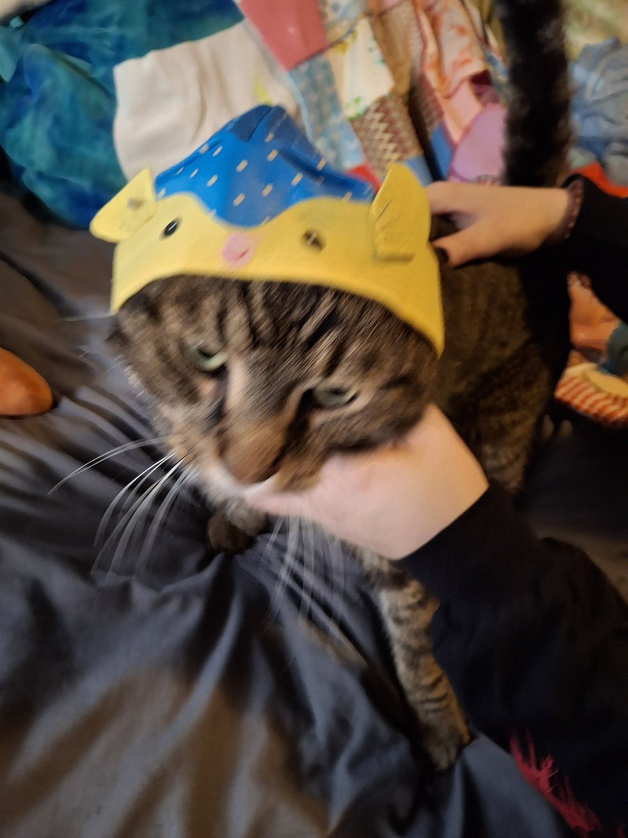 @furthermoore.bsky.social tweet media