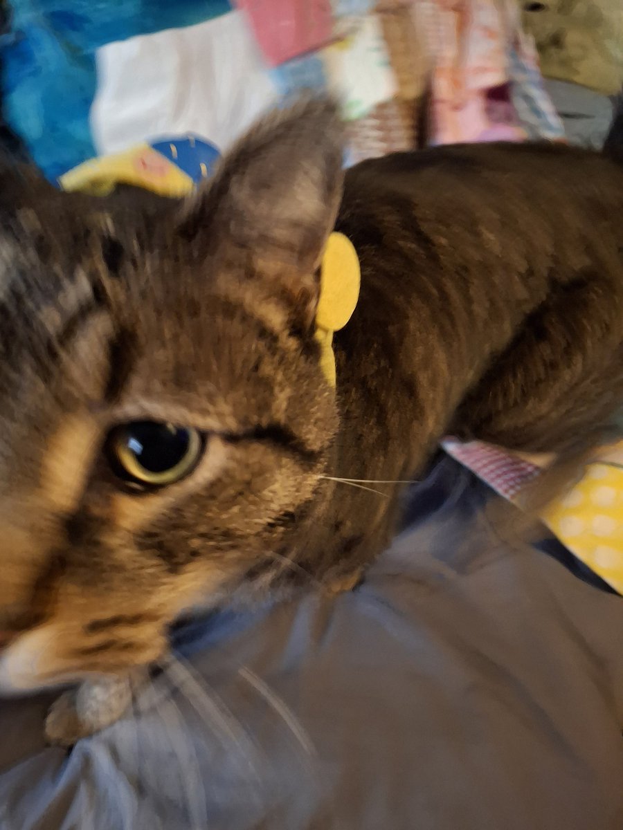 @furthermoore.bsky.social tweet media