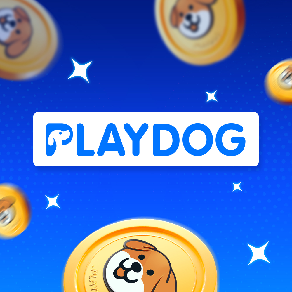 PLAYDOG tweet media