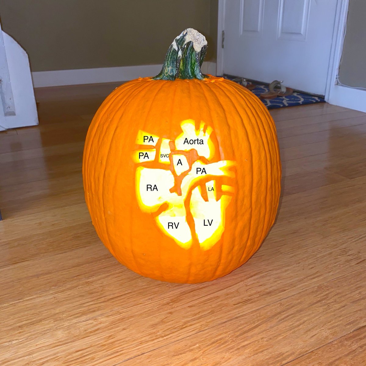 Yale Pathology tweet media