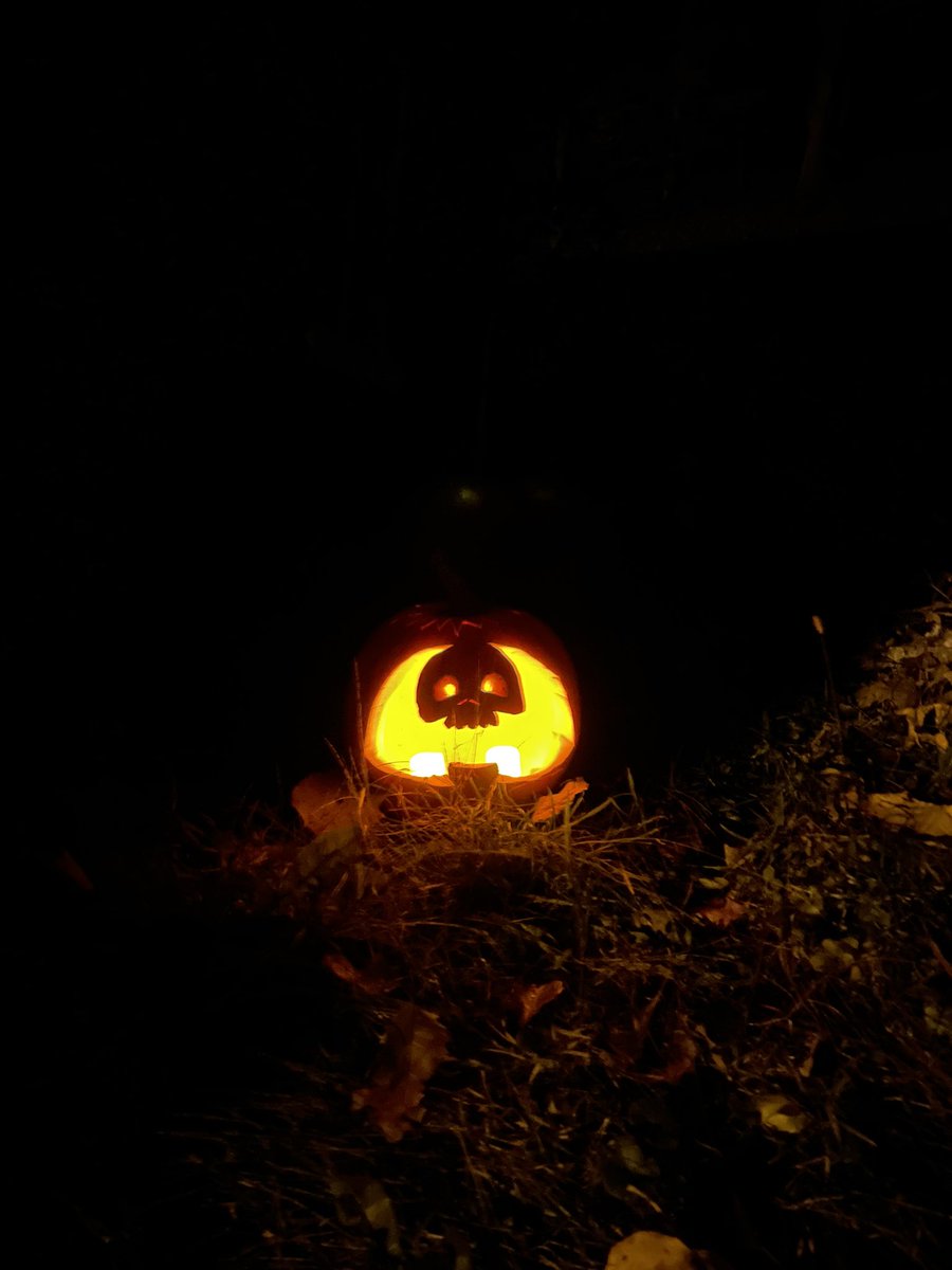 nightmarepills's tweet photo. For real Scoobyheads only. Happy Halloween! https://t.co/kGHKFT7Npk