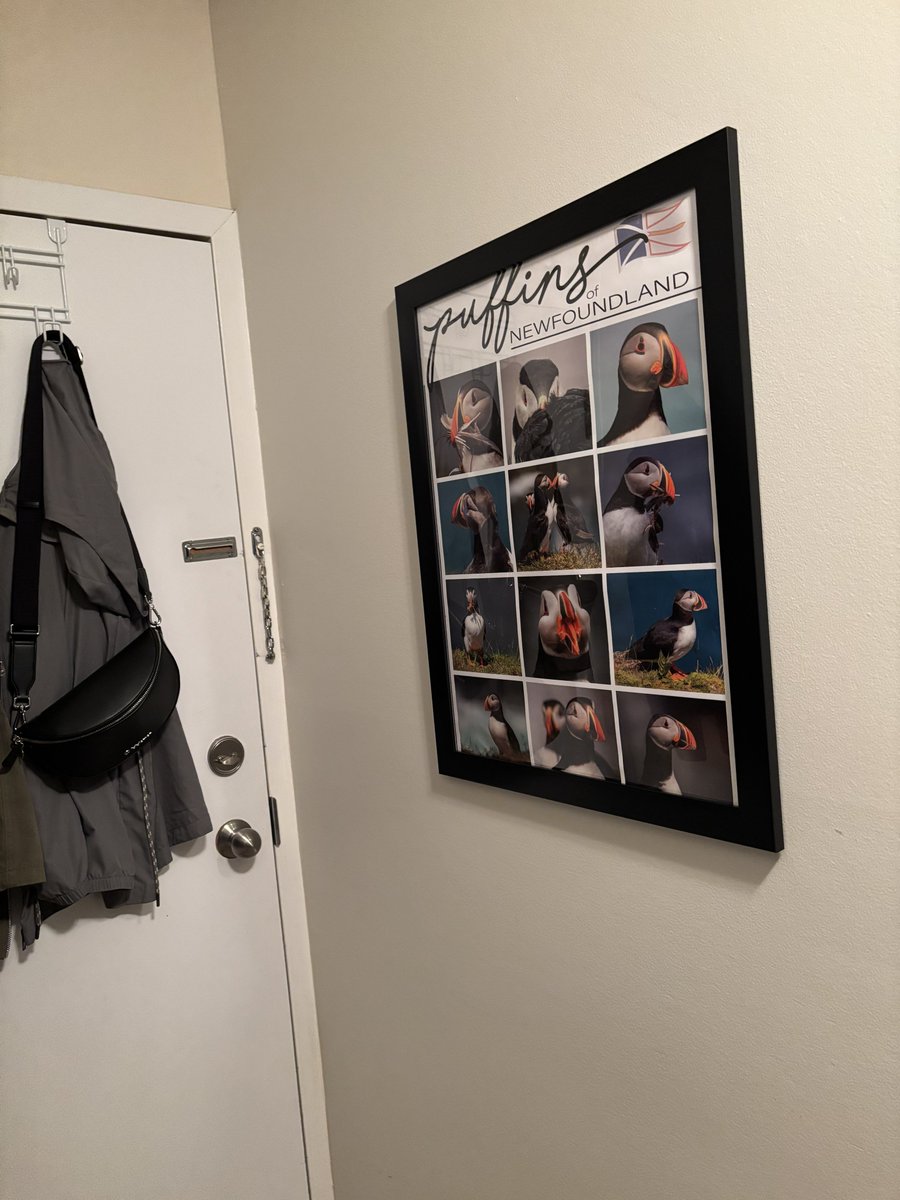 dawn_kimmy_nl's tweet photo. Thank you @Cory_Babstock for my poster picture!! Iโll hang it proudly in my porch!
#oldbonesphotography
#localphotography https://t.co/DNb9n1mifh