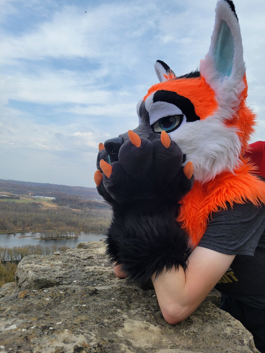 PhoenixManedWof's tweet photo. What a lovely view, gotta take a moment to take it all in 🧡🧡 https://t.co/MrbQRt1sMf