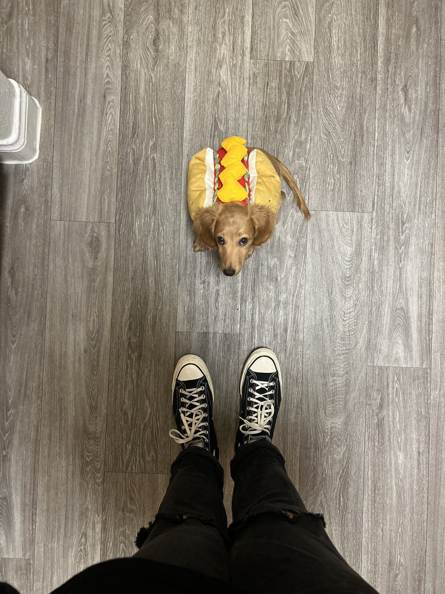 coolm00n's tweet image. It’s ween