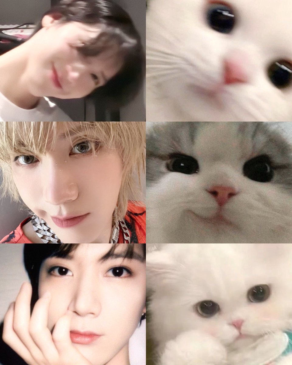 ที่สุบในใจมะมี้🐈‍⬛💜💜💜