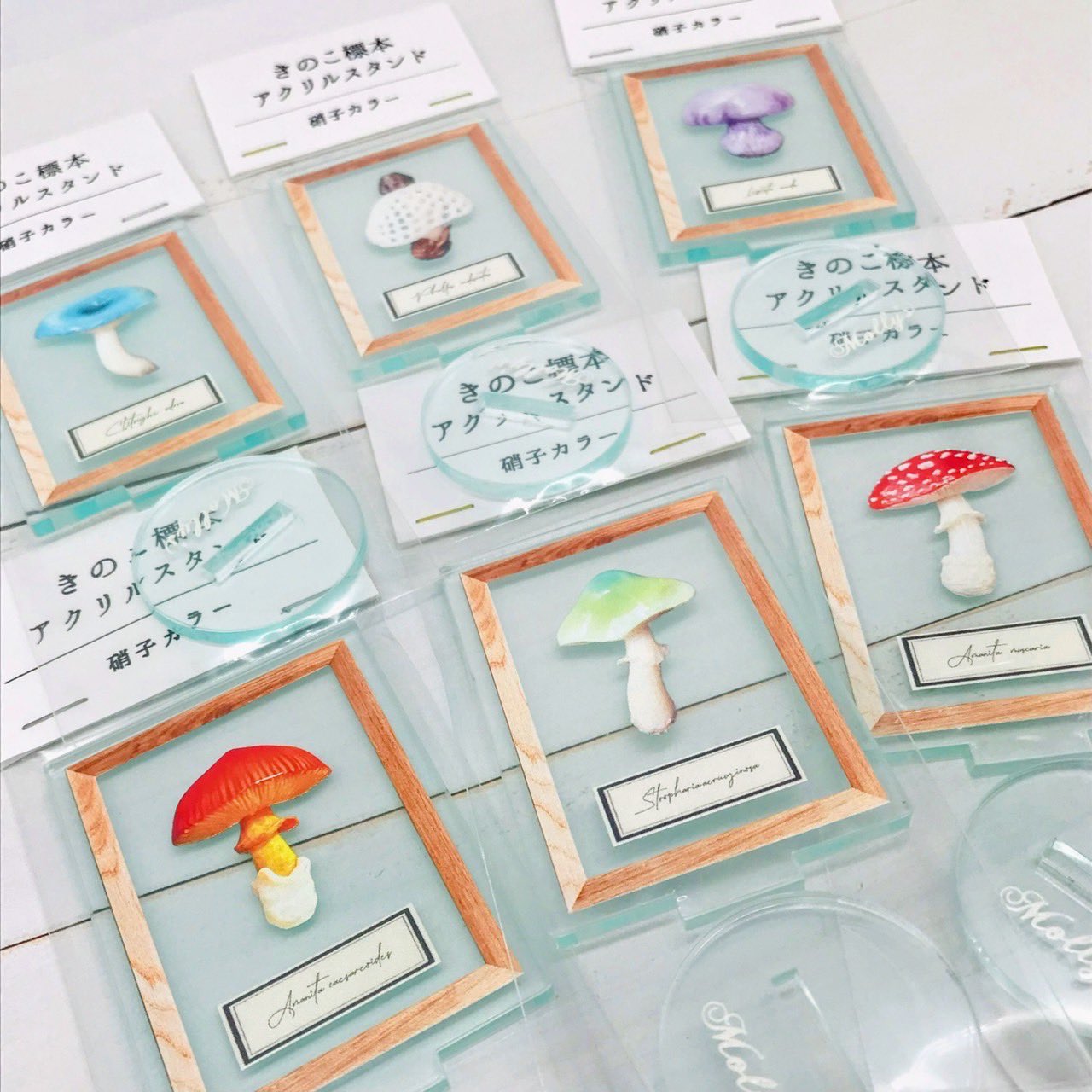 ウサギノネドコ東京店 on X: 