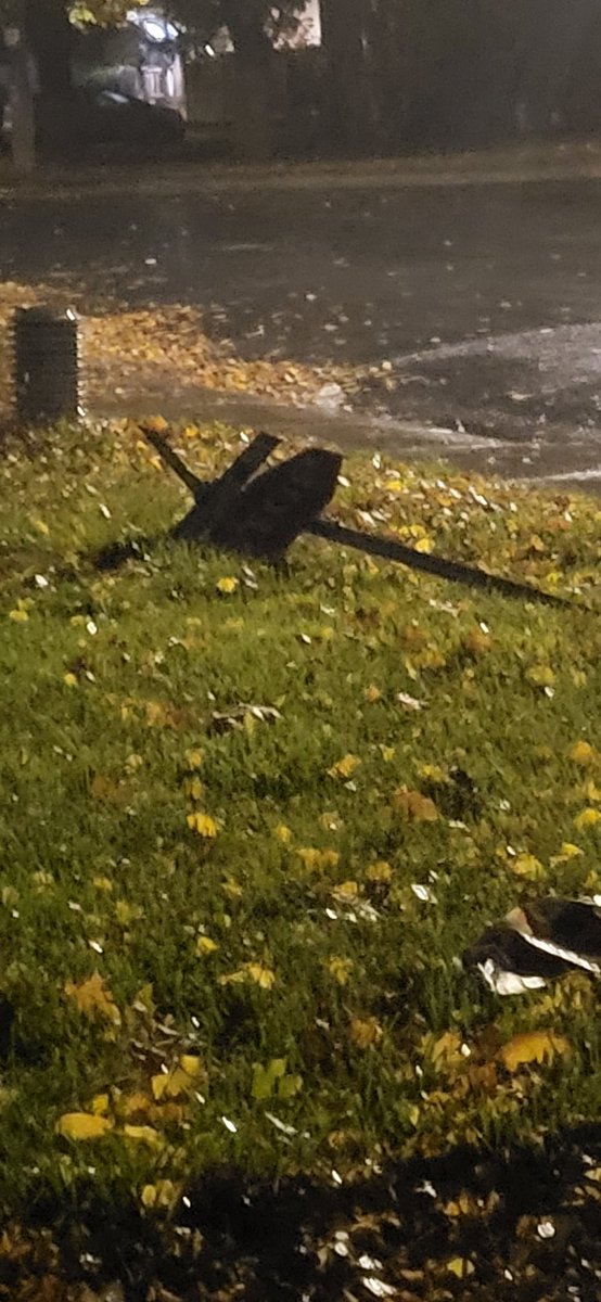 Hey Trent "students," you want to be mature and adult? Stop destroying things. This is NOT cool.