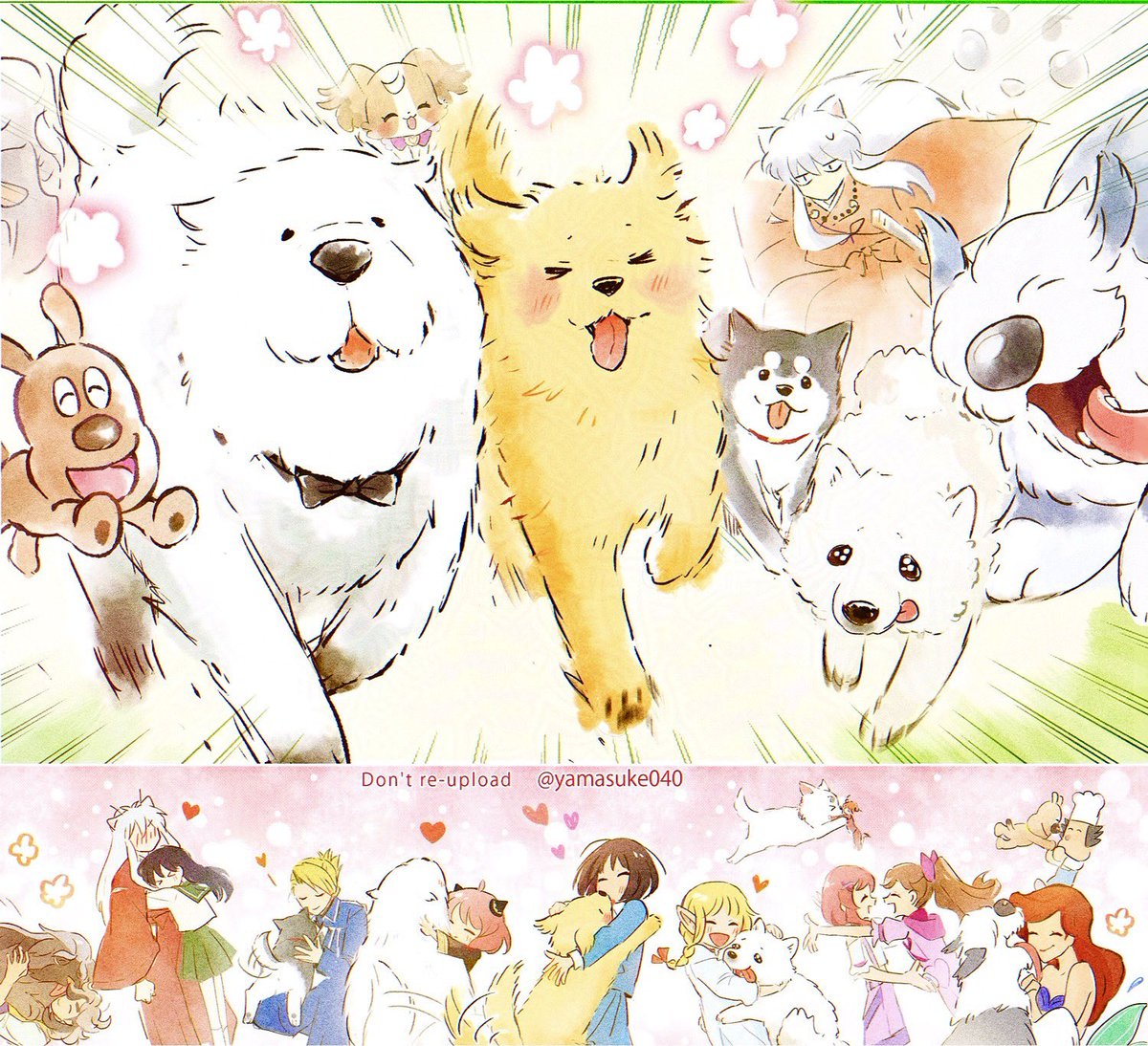 1yamasuke060's tweet image. わんこﾀﾞｯｼｭ✨🐶🐾　#犬の日