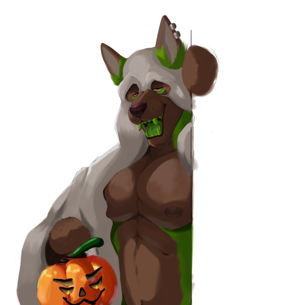 yosh1core's tweet photo. 5 slots half body for 25R$

Assumptions of what halfbodies would look like https://t.co/v4P0KOrt23