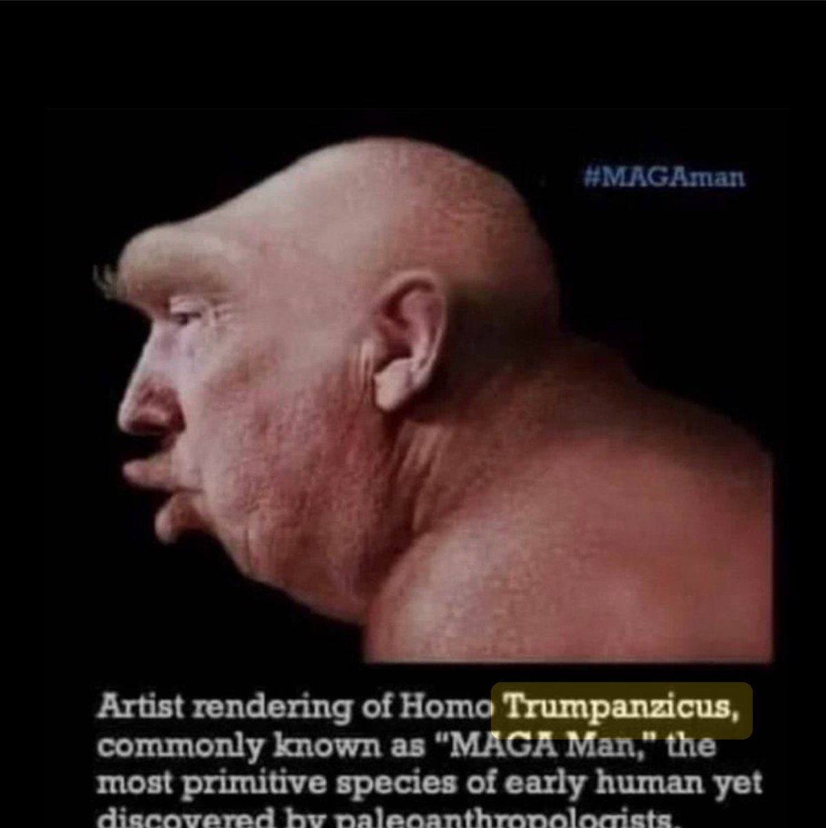 Stéphane tweet media