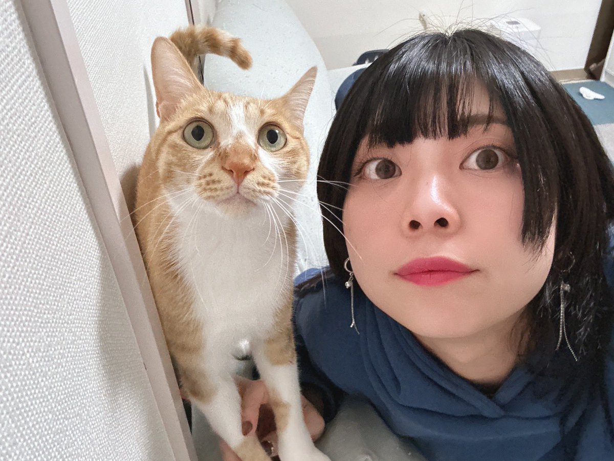 Subomie_info's tweet photo. 🎂Happy Birthday🎂

本日11月1日はkey.北欧メタルのお誕生日です🎊㊗️

クールビューティーな見た目に反する北欧メタルワールド全開！ホンワカ優しいキャラクターでメンバー一同癒されております🥰

お誕生日おめでとう！
素敵な一年になりますようにっ‼️
(Vo.パルコより) https://t.co/yyGSgZreoQ