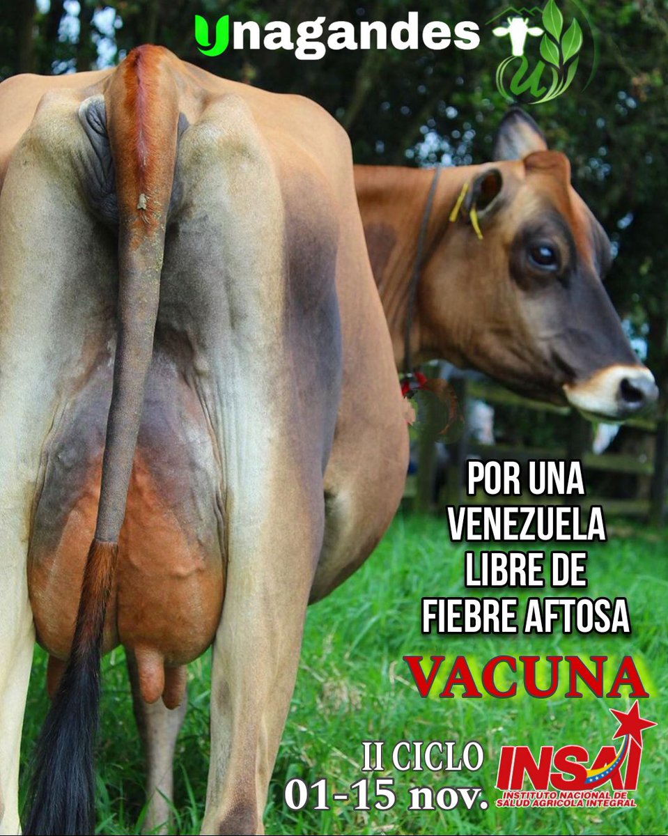 Corpopapa (@corpopapa) on Twitter photo 