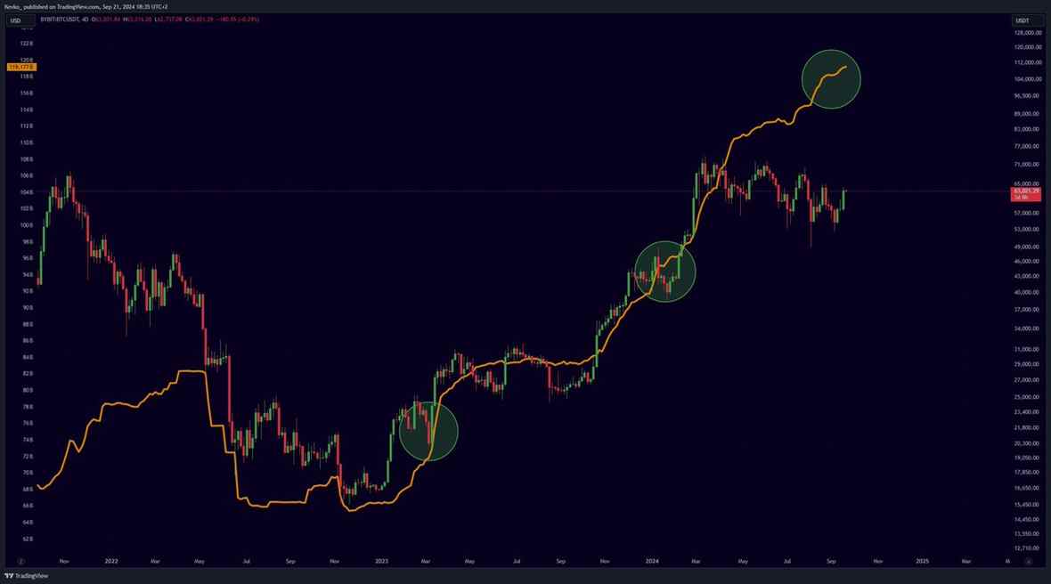 JazyVIP's tweet image. What's the buzz, Jasmine?