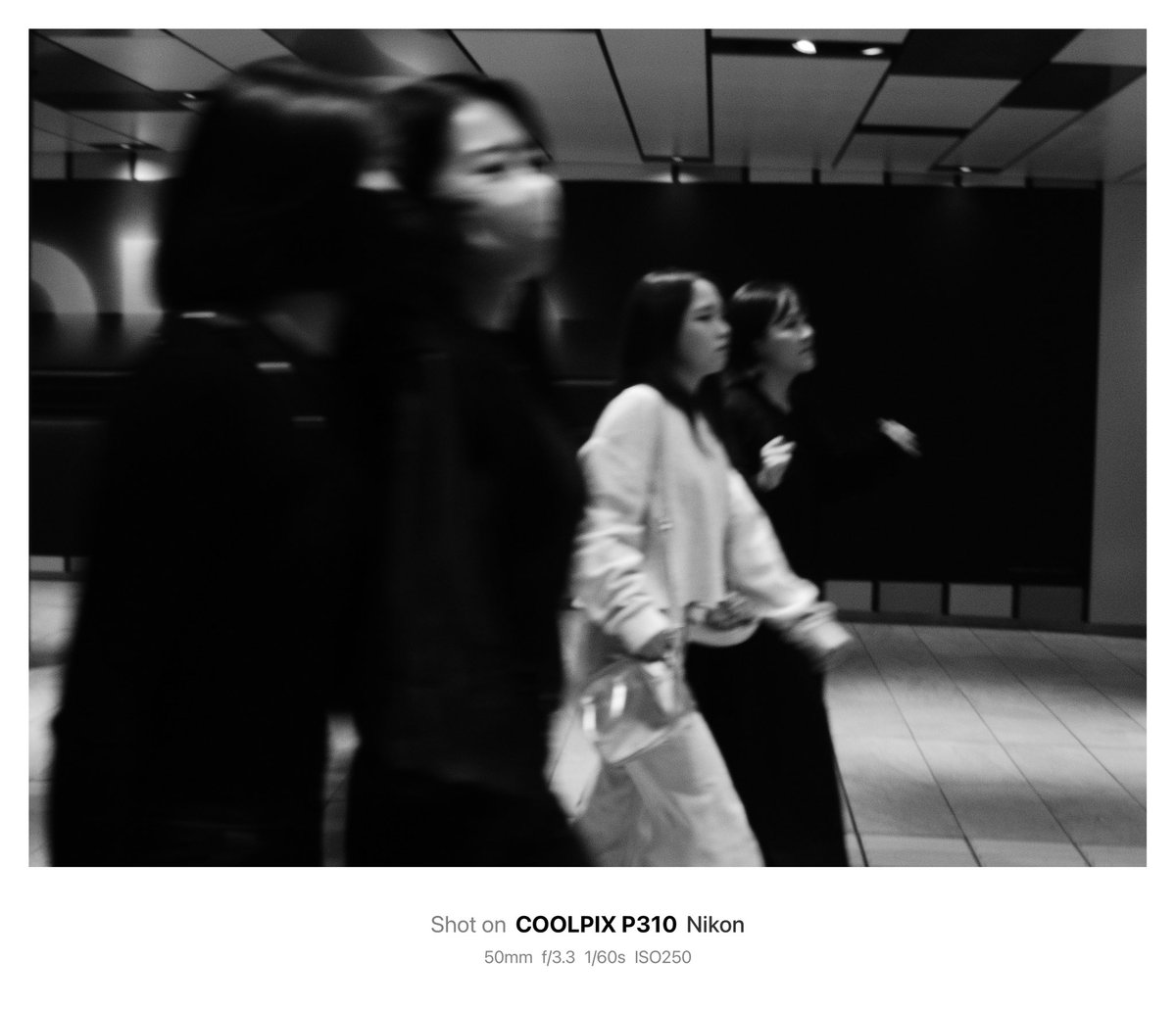 1028_hnd's tweet image. 四人組（ではない）

#Nikon #Coolpix #P310 
#オールドコンデジ