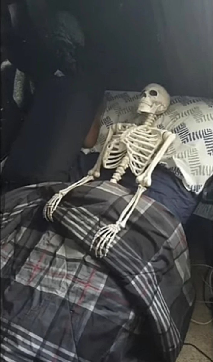 SexualInferno's tweet image. goodnight skeleton