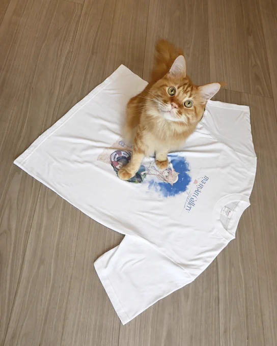 今回のA3アクリルスタンドはとっても大きいのだ!Tシャツも爽やかでかわいい今日明日は当日入場もできるので横浜にお越しの方はぜひチェックしてね(*'ω`*)#にゃにゃーと個展#うちのねこが女の子でかわいい 