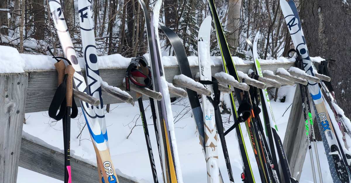 Colleen Padilla tweet media