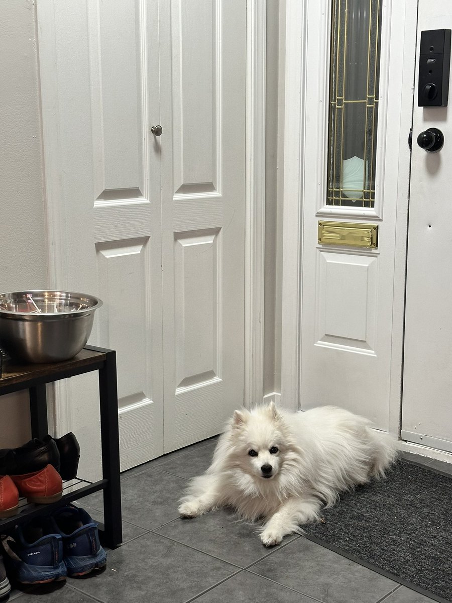 Danelle W tweet media