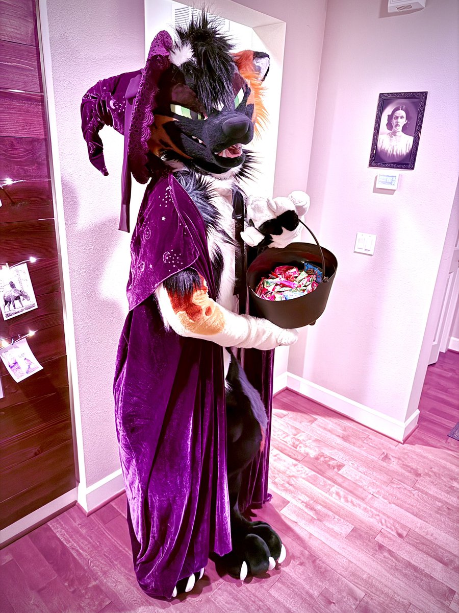 CASSIUS - FWA tweet media